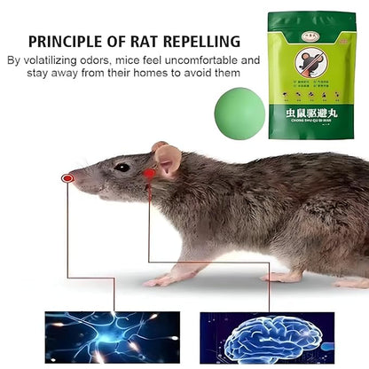 20955