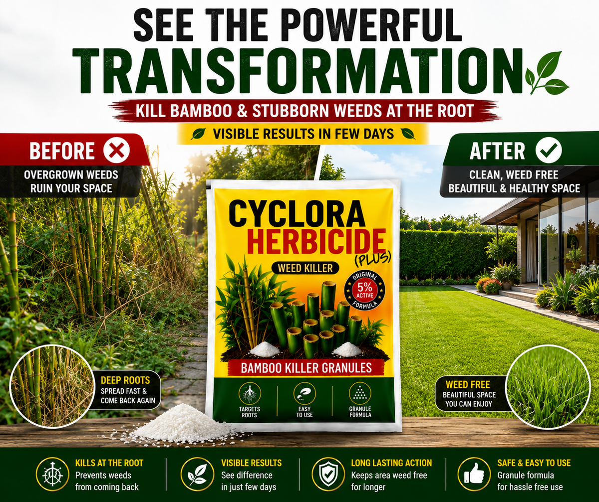 Cyclora Herbicide Granules (Pack of 2)