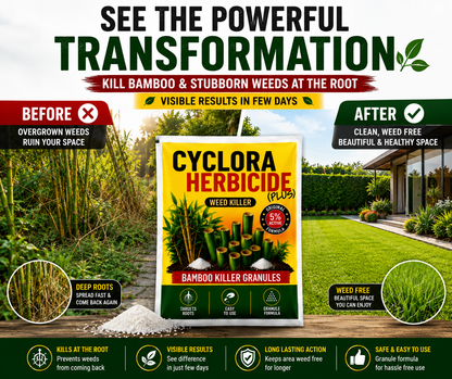 Cyclora Herbicide Granules (Pack of 2)